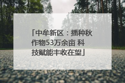 中牟新区：播种秋作物53万余亩 科技赋能丰收在望