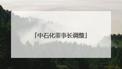 中石化董事长调整