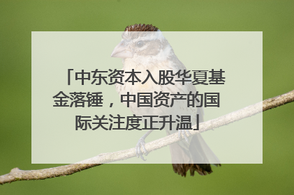 中东资本入股华夏基金落锤，中国资产的国际关注度正升温