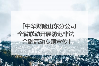 中华财险山东分公司全省联动开展防范非法金融活动专题宣传