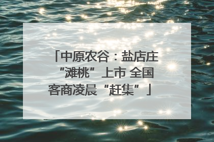 中原农谷：盐店庄“滩桃”上市 全国客商凌晨“赶集”