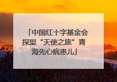 中国红十字基金会探望“天使之旅”青海先心病患儿