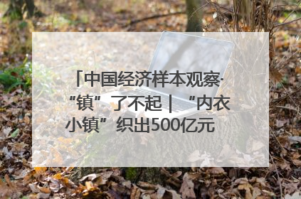 中国经济样本观察·“镇”了不起｜“内衣小镇”织出500亿元“里子产业”