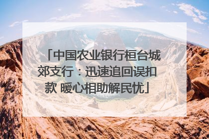 中国农业银行桓台城郊支行：迅速追回误扣款 暖心相助解民忧