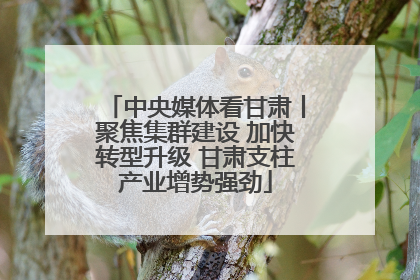 中央媒体看甘肃丨聚焦集群建设 加快转型升级 甘肃支柱产业增势强劲