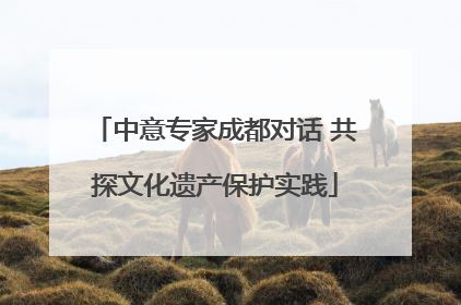 中意专家成都对话 共探文化遗产保护实践