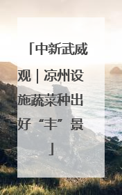 中新武威观｜凉州设施蔬菜种出好“丰”景