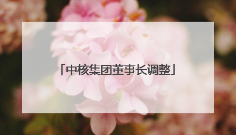 中核集团董事长调整