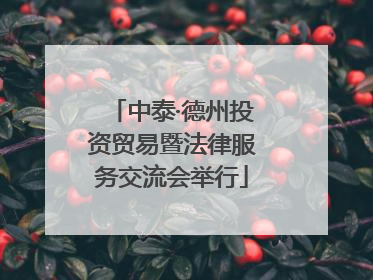 中泰·德州投资贸易暨法律服务交流会举行