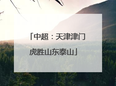 中超：天津津门虎胜山东泰山