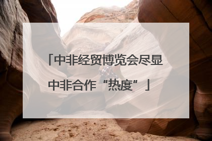 中非经贸博览会尽显中非合作“热度”