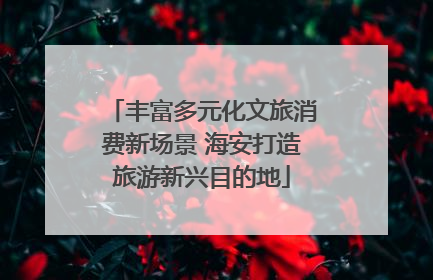 丰富多元化文旅消费新场景 海安打造旅游新兴目的地