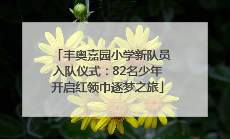 丰奥嘉园小学新队员入队仪式：82名少年开启红领巾逐梦之旅