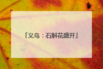 义乌：石斛花盛开