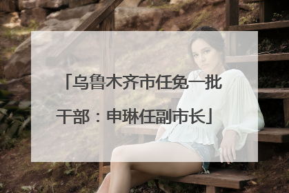 乌鲁木齐市任免一批干部：申琳任副市长