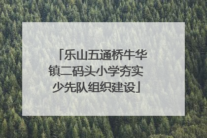 乐山五通桥牛华镇二码头小学夯实少先队组织建设