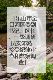 乐山市金口河区委副书记、区长、一级调研员安沛然 接受纪律审查和监察调查