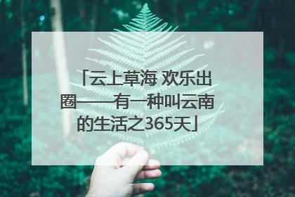 云上草海 欢乐出圈——有一种叫云南的生活之365天