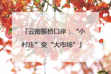 云南猴桥口岸：“小村庄”变“大市场”