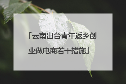 云南出台青年返乡创业做电商若干措施