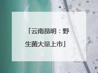 云南昆明：野生菌大量上市