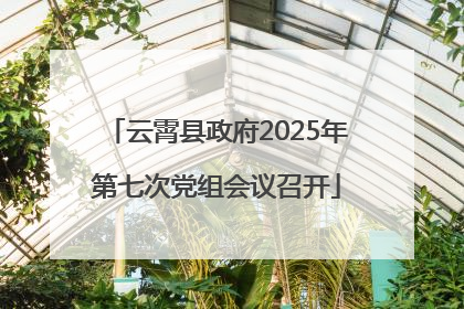 云霄县政府2025年第七次党组会议召开
