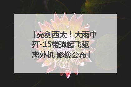 亮剑西太！大雨中歼-15带弹起飞驱离外机 影像公布