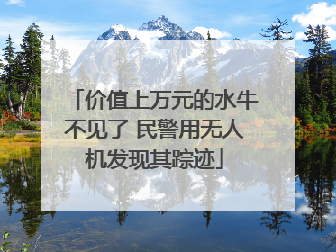 价值上万元的水牛不见了 民警用无人机发现其踪迹