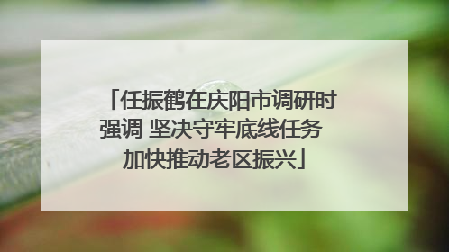 任振鹤在庆阳市调研时强调 坚决守牢底线任务 加快推动老区振兴