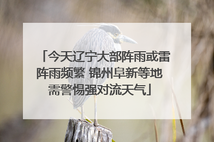 今天辽宁大部阵雨或雷阵雨频繁 锦州阜新等地需警惕强对流天气