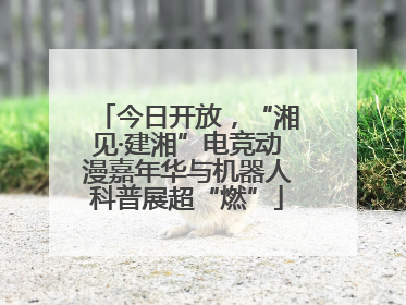 今日开放，“湘见·建湘”电竞动漫嘉年华与机器人科普展超“燃”