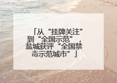 从“挂牌关注”到“全国示范”，盐城获评“全国禁毒示范城市”