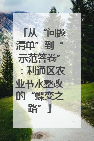 从“问题清单”到“示范答卷”：利通区农业节水整改的“蝶变之路”