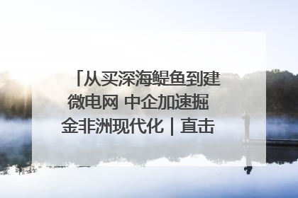 从买深海鳀鱼到建微电网 中企加速掘金非洲现代化｜直击中非经贸博览会
