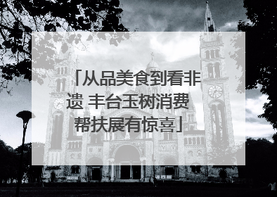 从品美食到看非遗 丰台玉树消费帮扶展有惊喜