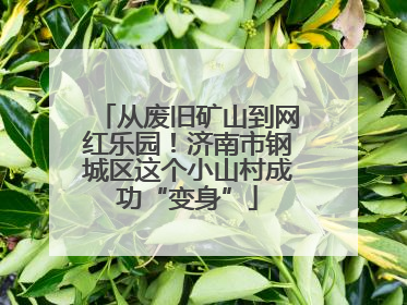 从废旧矿山到网红乐园！济南市钢城区这个小山村成功“变身”