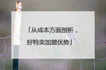 从成本方面剖析，好特卖加盟优势