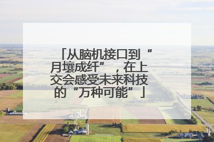 从脑机接口到“月壤成纤”，在上交会感受未来科技的“万种可能”