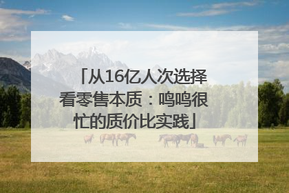 从16亿人次选择看零售本质：鸣鸣很忙的质价比实践