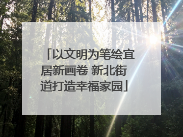 以文明为笔绘宜居新画卷 新北街道打造幸福家园