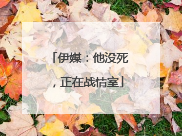 伊媒：他没死，正在战情室