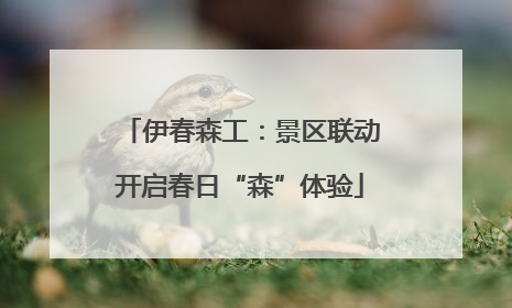 伊春森工：景区联动开启春日“森”体验