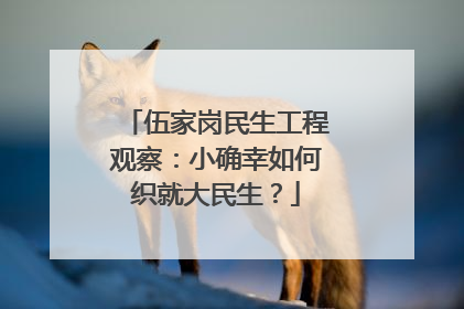伍家岗民生工程观察：小确幸如何织就大民生？