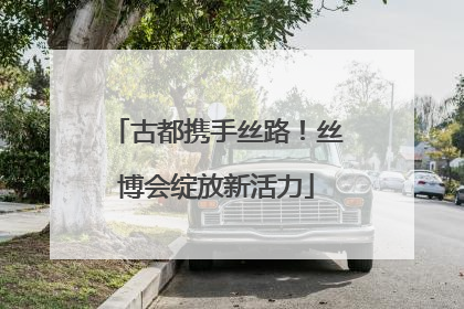 古都携手丝路！丝博会绽放新活力