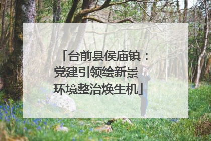 台前县侯庙镇：党建引领绘新景 环境整治焕生机