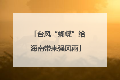 台风“蝴蝶”给海南带来强风雨