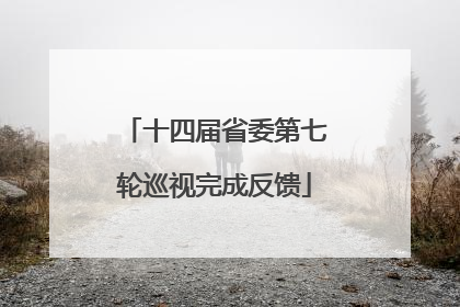 十四届省委第七轮巡视完成反馈