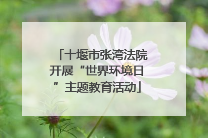 十堰市张湾法院开展“世界环境日”主题教育活动
