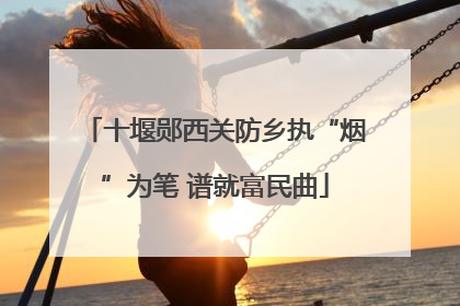 十堰郧西关防乡执“烟”为笔 谱就富民曲