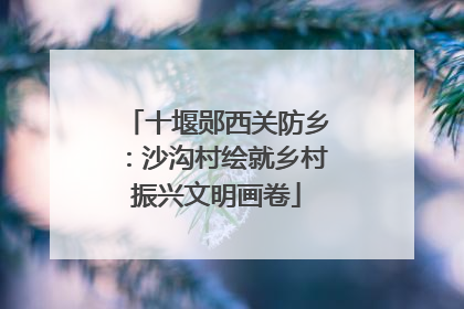 十堰郧西关防乡：沙沟村绘就乡村振兴文明画卷